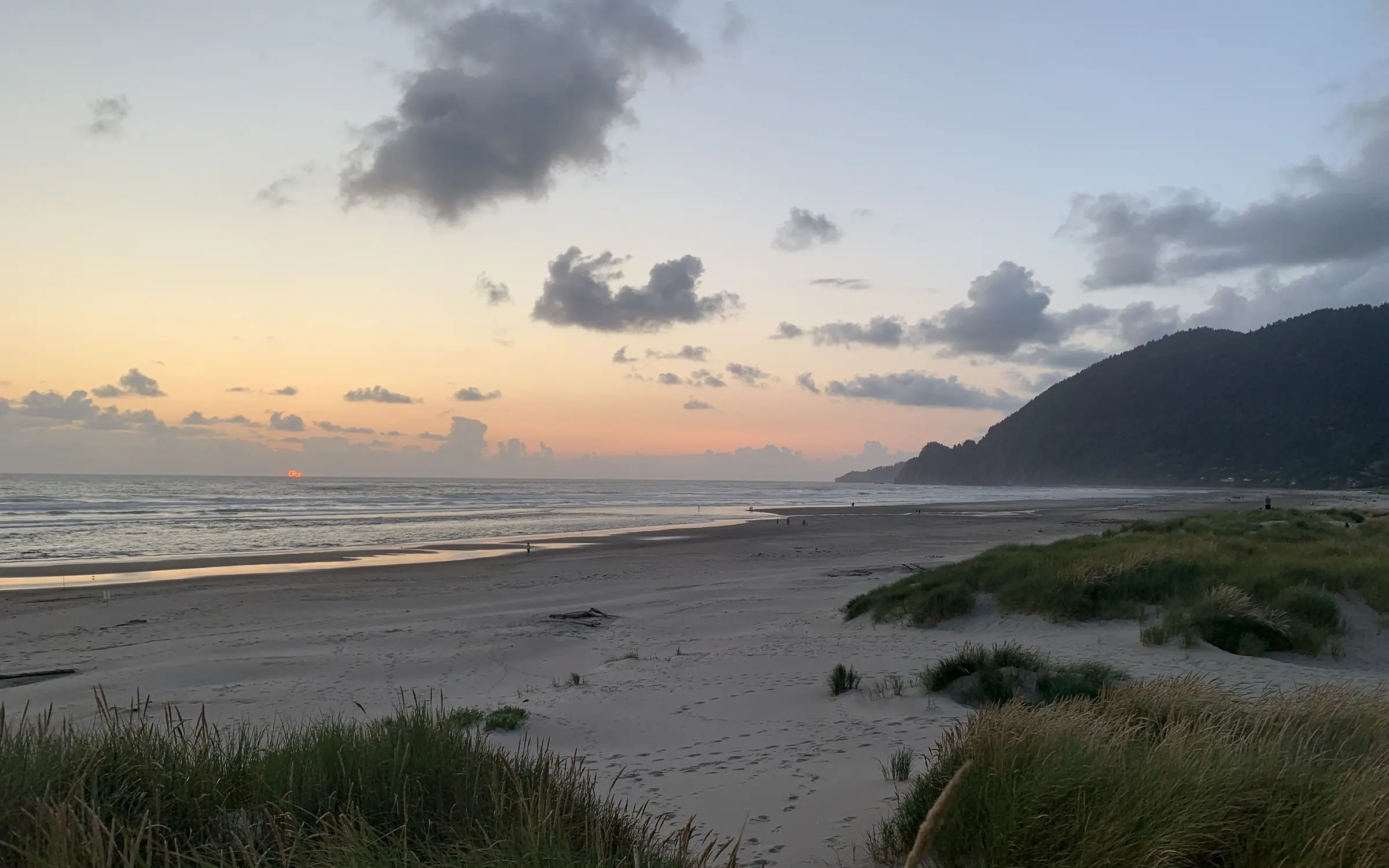The beach at dusk with the dark bulk of the headland to the north, a pale band of wet sand catching the last light, and clumps of dune grass in the foreground.