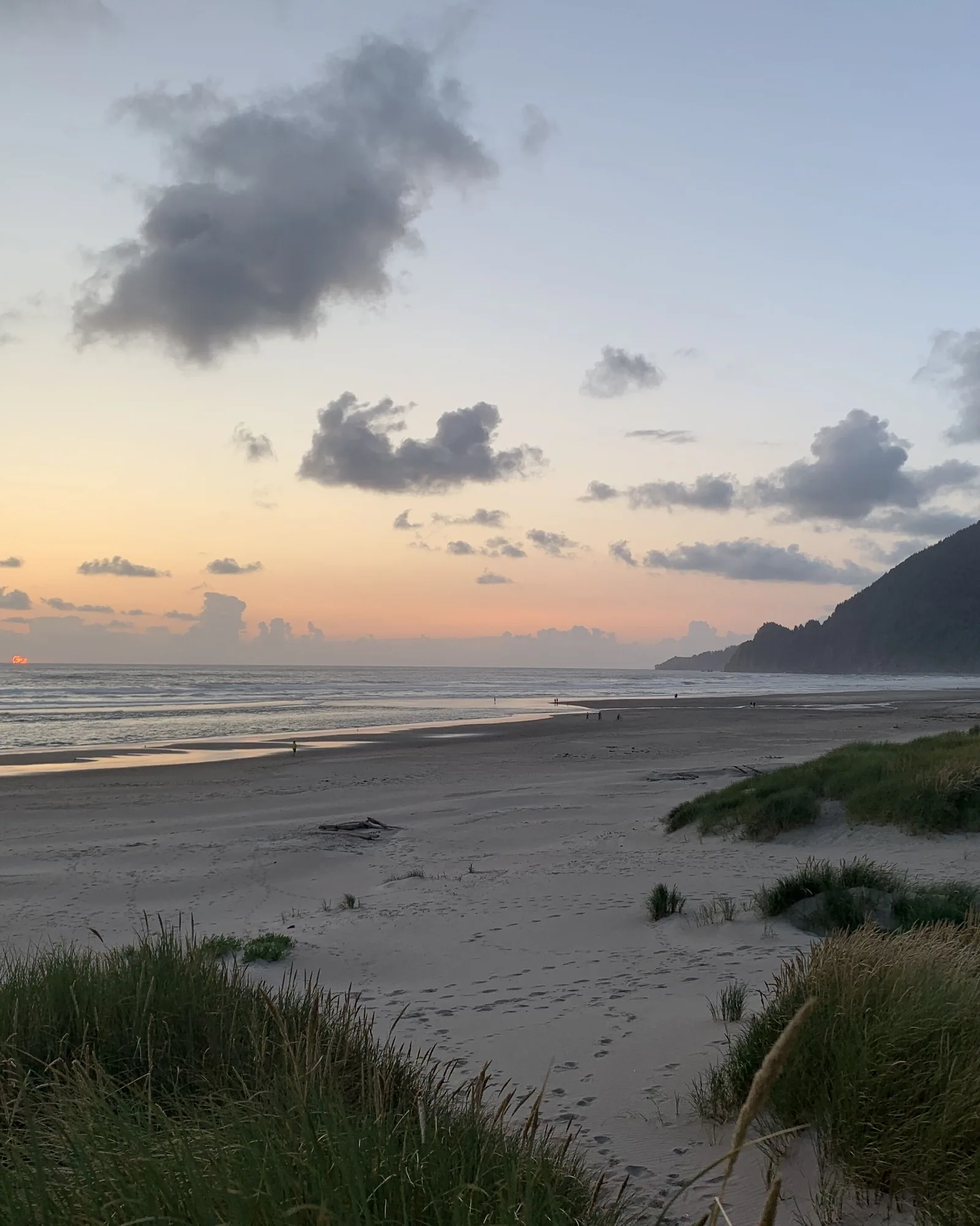 The beach at dusk with the dark bulk of the headland to the north, a pale band of wet sand catching the last light, and clumps of dune grass in the foreground.