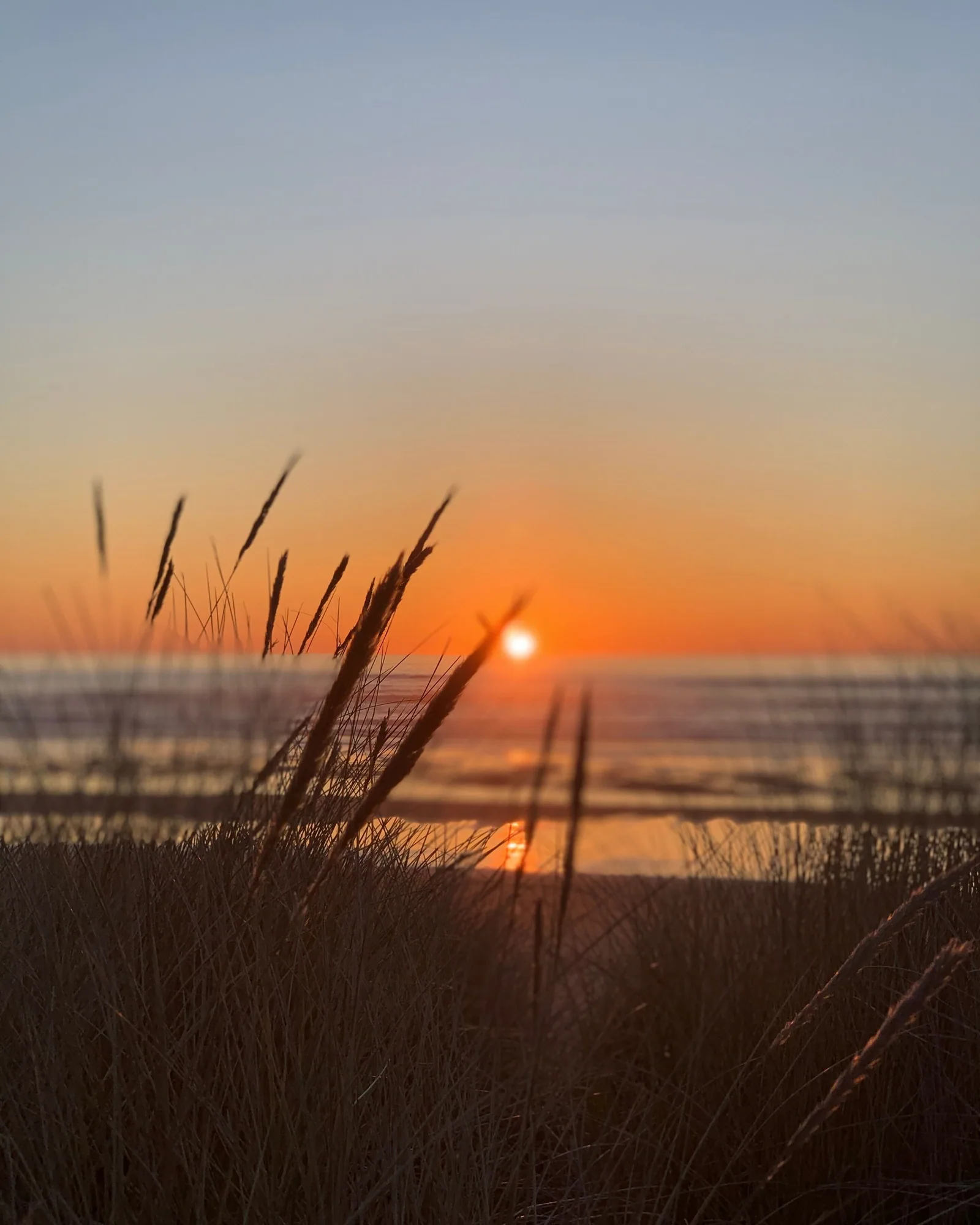 Dune grass silhouetted in the foreground against a low sun sitting just above the horizon, the sky washed orange and the sea a dark band beneath it.