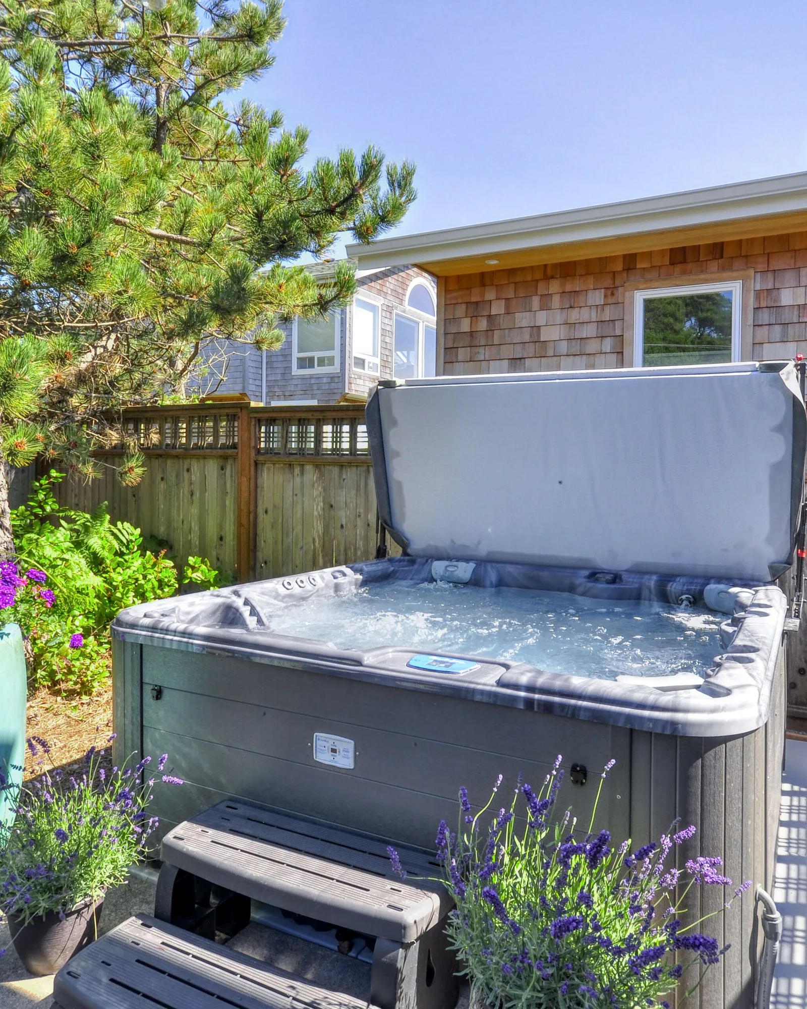 The hot tub in daylight, its gray cover closed, set on a concrete pad against a weathered cedar fence with a tall planter of purple flowers beside it and shore pine overhanging from the left.