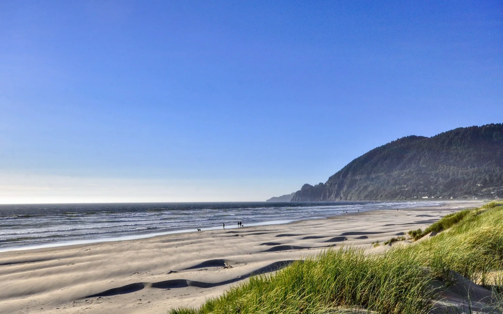 Manzanita Beach on a clear day: wind-rippled dry sand in the foreground, a broad wet tideline, and the forested headland of Neahkahnie Mountain rising to the north. Three small figures and a dog walk at the waterline.